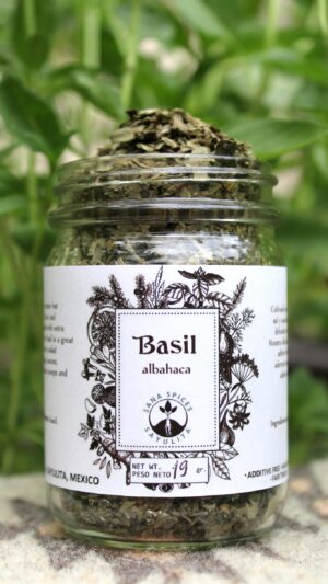 Albahaca. Basil