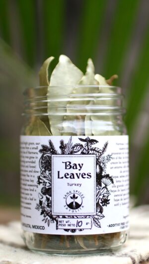 Laurel. Bay Leaf