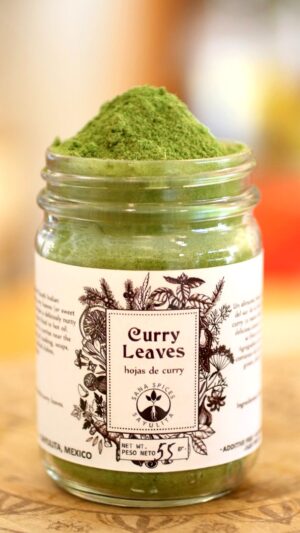 Hojas de Curry. Curry Leaves