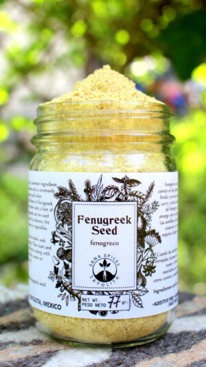 Fenogreco Semilla. Fenugreek Seed
