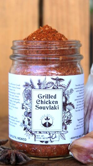 Grilled Chicken Souvlaki