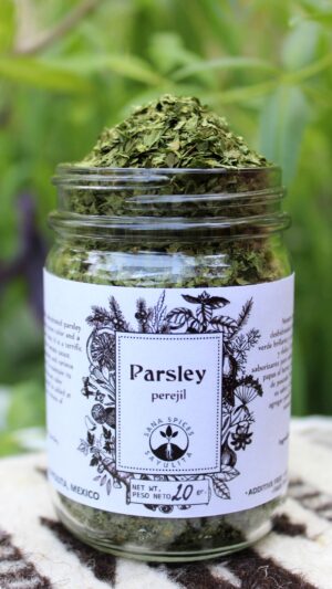 Perejil. Parsley