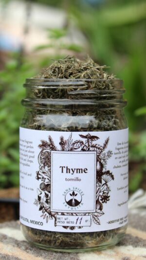 Tomillo. Thyme