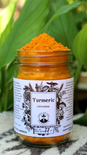 Cúrcuma. Turmeric